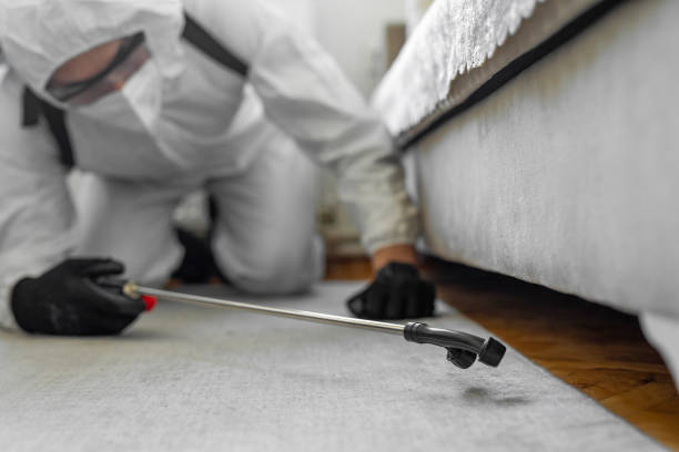 Professional Bed Bug Control technician working in Haubstadt, IN