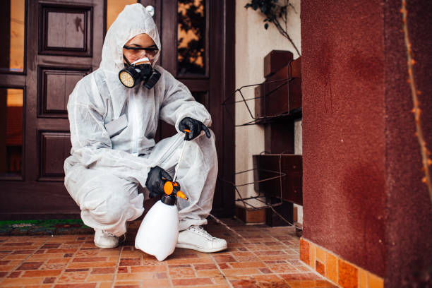 Reliable Bed Bug Control contractor in Haubstadt, IN by Nex Pest Control