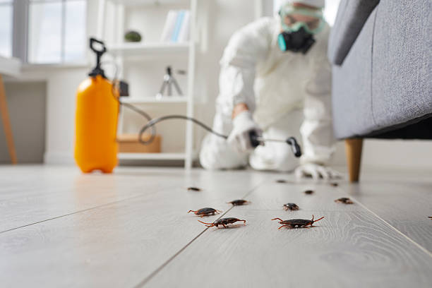 Trusted Termite Control service in Haubstadt, IN - Nex Pest Control